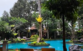 Green Bird Villa