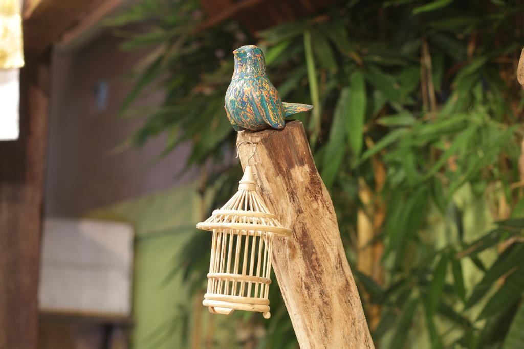 Green Bird Villa Ubud Buitenkant foto